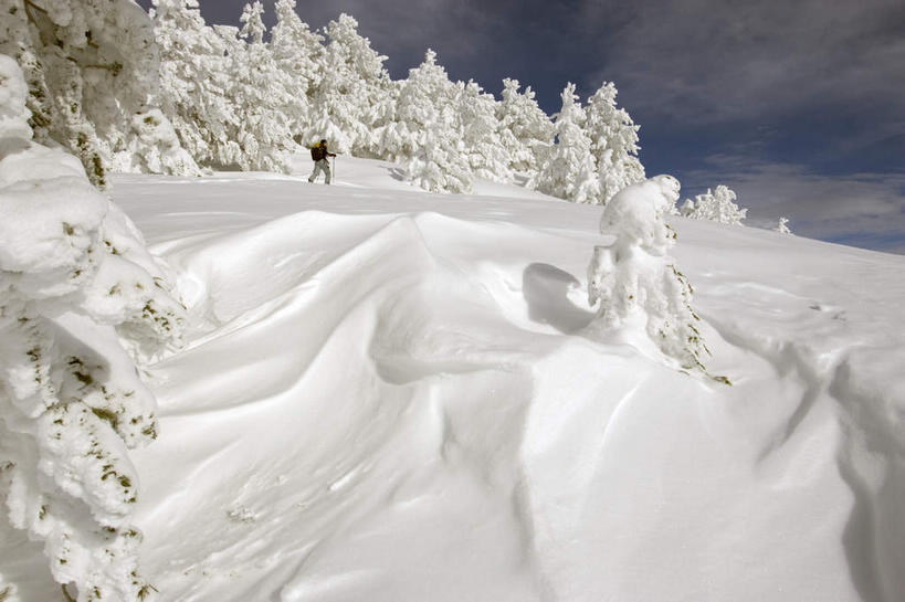 无人,横图,俯视,室外,白天,旅游,度假,石头,美景,森林,山,树林,雪,雪山,植物,大雪,阴影,光线,石子,影子,冰,积雪,景观,山峰,雪景,云,云朵,冬季,冬天,山峦,云彩,娱乐,树,树木,蓝色,绿色,白云,蓝天,天空,阳光,自然,天,享受,休闲,景色,放松,寒冷,生长,晴朗,成长,冰冷,自然风光,严寒,冰凉,酷寒,凛冽,凛凛,极冷,石块,岩石,晴空,彩图,高角度拍摄