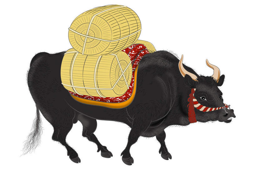 背,无人,站,走,横图,室内,特写,白天,白色背景,侧面,牛,一头,朦胧,模糊,注视,黑色,动物,行李,背着,观察,看,站着,家畜,摄影,牲畜,影棚,观看,察看,关注,背负,步行,散步,站立,走路,彩图,全身,影棚拍摄,拍摄