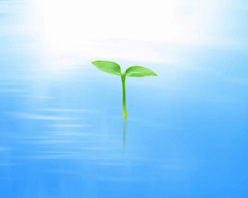 无人,横图,室内,白天,正面,数码,科技,海浪,海洋,叶子,两片,阴影,光线,网络,影子,浪花,绿叶,高光,几何,计算机图形,合成,幼苗,阳光,海水,嫩叶,电脑合成图,数码合成图,海景,写实,具体,具象,幼芽,叶,叶片,大海,风浪,海,海水的波动,近岸浪,涌浪,彩图