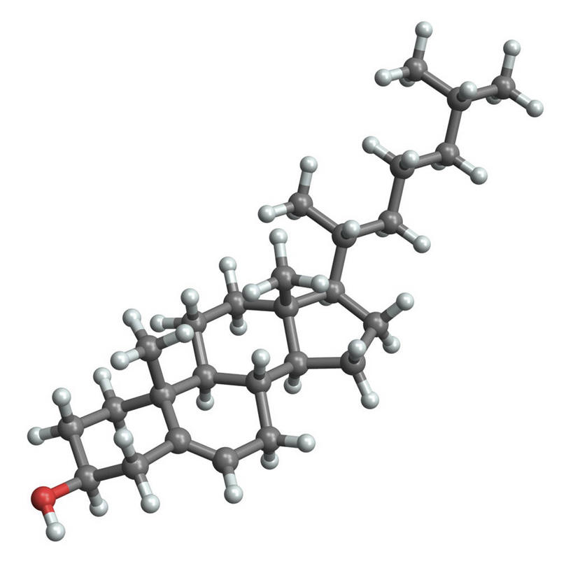 无人,方图,插画,室内,白天,正面,数码,分子,科技,连接,阴影,网络,化学,高光,几何,计算机图形,合成,图画,画,模型,庞大,复杂,电脑合成图,数码合成图,合成图,原子,漫画,粒子,写实,具体,具象,胆固醇,贯穿,连结,衔接,繁杂,串连,模子,彩图,胆甾醇,类固醇