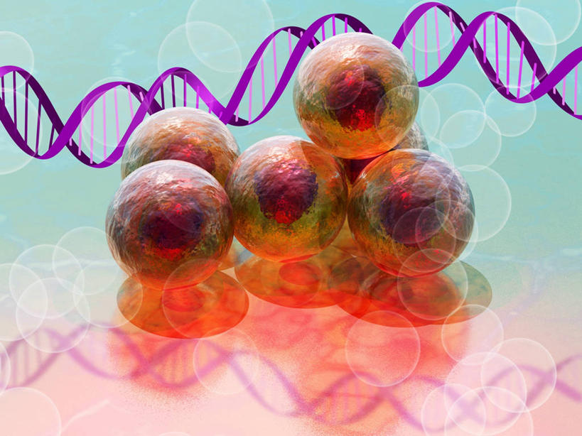 无人,横图,插画,室内,白天,正面,数码,科技,微生物,一堆,许多,绿色背景,阴影,堆叠,堆积,亮光,反射,科学,网络,基因,医学,细胞,影子,光亮,很多,高光,几何,计算机图形,合成,图画,画,红色,模型,生物,遗传,堆,电脑合成图,数码合成图,生物学,脱氧核糖核酸,合成图,漫画,写实,具体,具象,DNA分子,去氧核糖核酸,遗传信息,遗传因子,遗传学,模子,螺旋状,彩图,螺旋形,螺旋形状,螺旋型,起源细胞,万用细胞,未分化细胞,干细胞