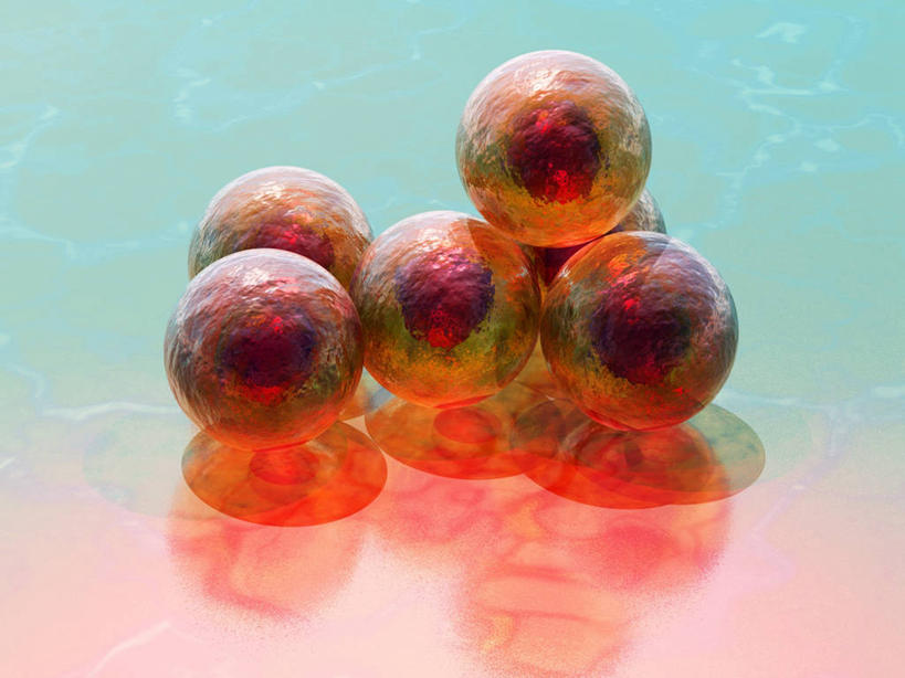 无人,横图,插画,室内,白天,正面,数码,科技,微生物,一堆,许多,绿色背景,阴影,堆叠,堆积,反射,科学,网络,医学,图形,细胞,影子,很多,高光,几何,计算机图形,合成,图画,画,粉色,黄色,红色,球体,堆,电脑合成图,数码合成图,生物学,合成图,数学,漫画,写实,具体,具象,彩图,几何图形,立体几何,立体图形,起源细胞,万用细胞,未分化细胞,干细胞