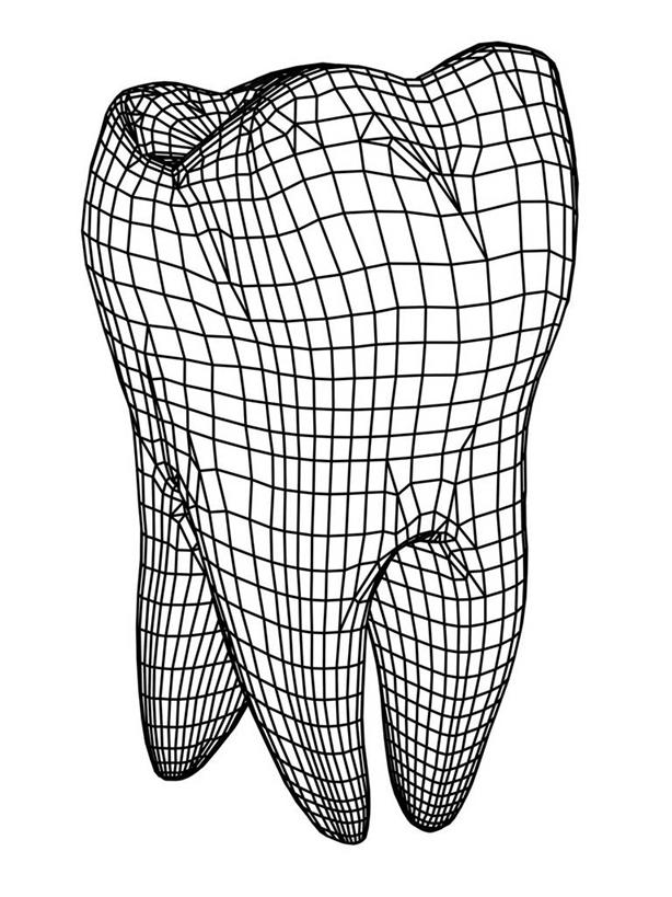 牙齿,无人,交叉,竖图,插画,室内,白天,白色背景,正面,数码,科技,一排,阴影,整齐,曲线,网络,方格,格子,线条,高光,几何,计算机图形,合成,图画,画,排列,一个,单个,电脑合成图,数码合成图,绘图,合成图,队列,漫画,写实,具体,具象,相交,交集,齿,牙,画图,彩图