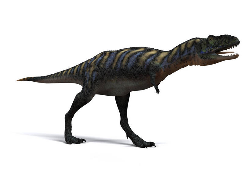 无人,站,横图,插画,室内,白天,白色背景,侧面,数码,科技,阴影,网络,高光,几何,计算机图形,合成,图画,注视,画,一只,观察,看,站着,张嘴,恐龙,观看,电脑合成图,数码合成图,察看,合成图,关注,凶猛,漫画,张大嘴巴,写实,具体,具象,灭尽,灭绝,史前动物,白垩纪,凶残,张开嘴,站立,彩图,全身,奥卡龙