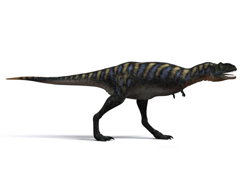 无人,站,横图,插画,室内,白天,白色背景,侧面,数码,科技,阴影,网络,高光,几何,计算机图形,合成,图画,注视,画,一只,观察,看,站着,张嘴,恐龙,观看,电脑合成图,数码合成图,察看,合成图,关注,凶猛,漫画,张大嘴巴,写实,具体,具象,灭尽,灭绝,史前动物,白垩纪,凶残,张开嘴,站立,彩图,全身,奥卡龙