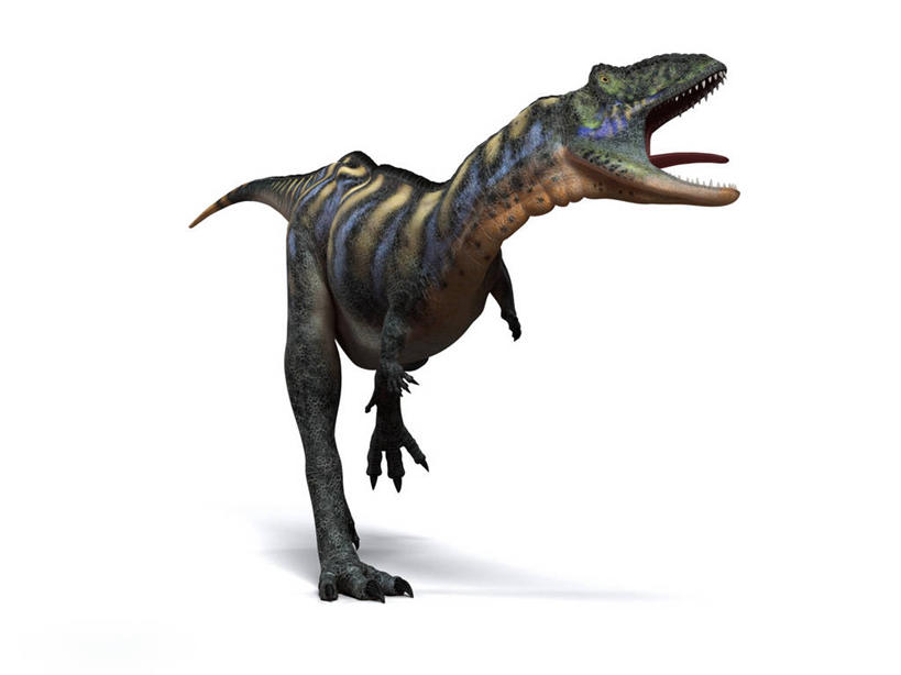 无人,横图,插画,室内,白天,白色背景,正面,数码,科技,奔驰,阴影,网络,高光,几何,计算机图形,合成,图画,注视,画,一只,奔跑,观察,看,张嘴,恐龙,观看,电脑合成图,数码合成图,察看,合成图,关注,凶猛,漫画,张大嘴巴,写实,具体,具象,灭尽,灭绝,史前动物,白垩纪,凶残,张开嘴,抬头,仰头,彩图,全身,奥卡龙