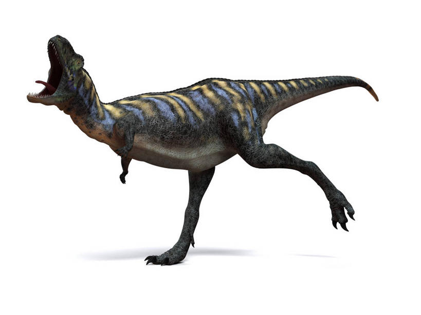 无人,横图,插画,室内,白天,白色背景,侧面,数码,科技,奔驰,阴影,网络,高光,几何,计算机图形,合成,图画,注视,画,一只,奔跑,观察,看,张嘴,恐龙,观看,电脑合成图,数码合成图,察看,合成图,关注,凶猛,漫画,张大嘴巴,写实,具体,具象,灭尽,灭绝,史前动物,白垩纪,凶残,张开嘴,抬头,仰头,彩图,全身,奥卡龙