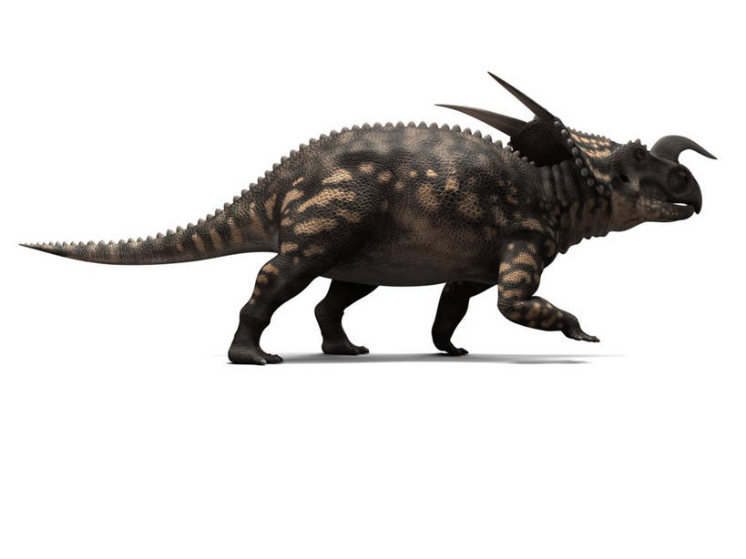 无人,走,横图,插画,室内,白天,白色背景,侧面,数码,科技,阴影,网络,高光,几何,计算机图形,合成,图画,注视,画,一只,观察,看,恐龙,观看,电脑合成图,数码合成图,察看,合成图,关注,凶猛,漫画,写实,具体,具象,灭尽,灭绝,史前动物,角龙,凶残,步行,散步,走路,彩图,全身,野牛龙