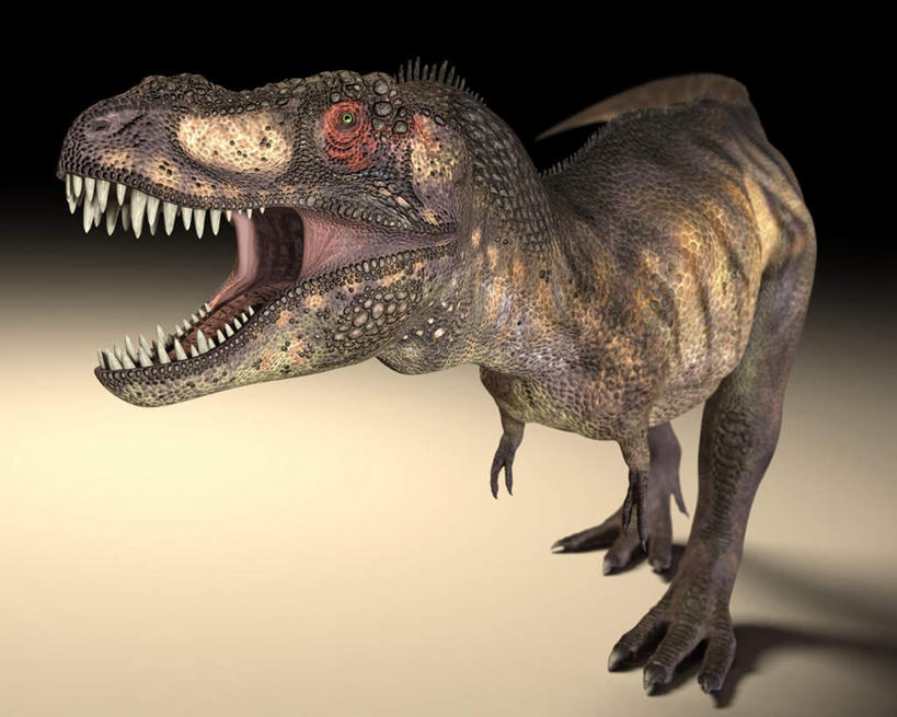 无人,站,横图,插画,室内,白天,正面,数码,科技,阴影,黑色背景,网络,高光,几何,计算机图形,合成,图画,画,一只,站着,张嘴,恐龙,电脑合成图,数码合成图,凶猛,漫画,张大嘴巴,霸王龙,写实,具体,具象,灭尽,灭绝,暴龙,雷克斯暴龙,雷克斯龙,史前动物,凶残,张开嘴,站立,彩图,全身