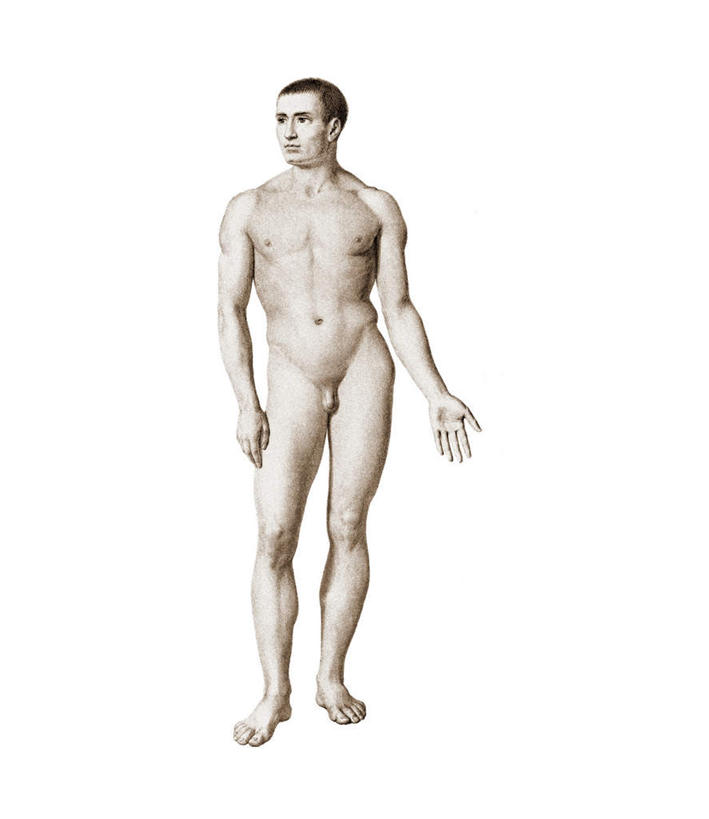 西方人,一个人,无人,站,竖图,插画,室内,白天,白色背景,正面,数码,科技,欧洲,欧洲人,仅一个男性,仅一个人,阴影,网络,高光,几何,计算机图形,合成,图画,扭头,注视,裸露,画,仅一个年轻男性,灰色,模型,观察,看,站着,转头,躯干,赤裸,观看,电脑合成图,数码合成图,察看,关注,裸,漫画,写实,具体,具象,躯体,模子,男人,男性,年轻男性,白种人,站立,彩图,全身