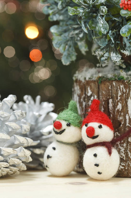 无人,竖图,室内,特写,白天,正面,游戏,雪,植物,大雪,帽子,照明,圣诞节,节日,朦胧,模糊,庆祝,装饰,环绕,缠绕,彩灯,积雪,雪景,雪人,冬季,冬天,灯光,坚果,果实,圣诞树,树桩,松果,玩,文化,娱乐,灯,树,树干,树木,两个,绿色,自然,围巾,灯具,干果,庆典,休闲,温暖,木桩,寒冷,花灯,生长,成长,围脖,活动,纪念,保暖,华丽,照亮,点缀,御寒,松塔,照明设备,发泄,消遣,智力,纠缠,宣泄,衬托,美观,雅致,雅观,棉帽,严寒,玩耍,嬉戏,彩图,拟人