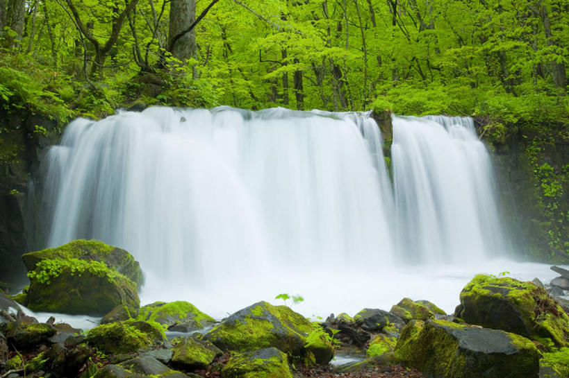 无人,横图,室外,白天,正面,旅游,度假,石头,美景,瀑布,树林,水,峡谷,植物,日本,亚洲,飞溅,溅,石子,液体,景观,水滴,山谷,娱乐,水珠,树,树木,绿色,自然,享受,休闲,景色,放松,生长,成长,岩层,喷洒,自然风光,东亚,本州,本州岛,日本国,青森,青森县,东北地方,奥入濑町,奥入濑溪流,跌水,石块,岩石,彩图,上北郡