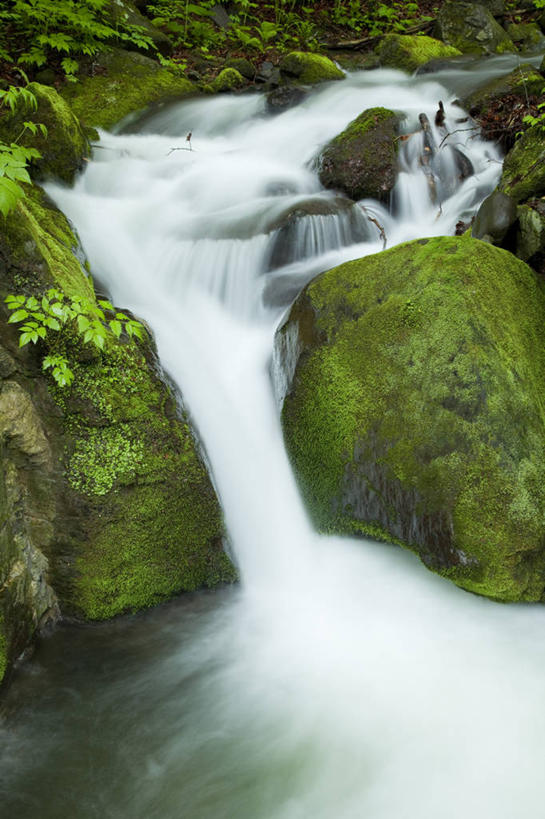 无人,竖图,俯视,室外,白天,旅游,度假,河流,石头,美景,树林,水,峡谷,植物,日本,亚洲,飞溅,溅,石子,液体,河水,景观,水滴,水流,山谷,娱乐,水珠,树,树木,绿色,小溪,自然,溪水,享受,休闲,景色,放松,生长,成长,岩层,喷洒,自然风光,曝光,东亚,本州,本州岛,日本国,青森,青森县,东北地方,奥入濑町,奥入濑溪流,石块,岩石,彩图,高角度拍摄,上北郡
