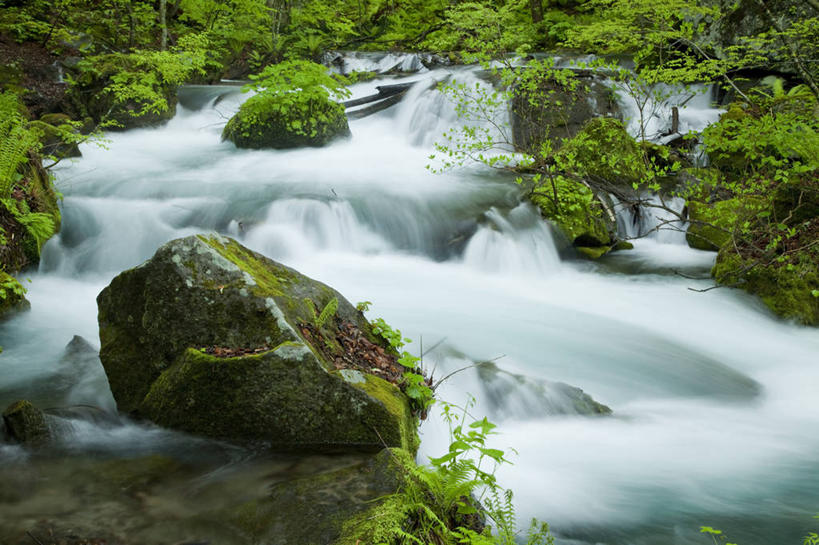 无人,横图,室外,白天,正面,长时间曝光,旅游,度假,河流,石头,美景,树林,水,植物,日本,亚洲,飞溅,溅,石子,液体,河水,景观,水滴,水流,青苔,苔藓,娱乐,水珠,树,树木,绿色,小溪,自然,溪水,享受,休闲,景色,放松,生长,成长,喷洒,自然风光,曝光,东亚,本州,本州岛,日本国,青森,青森县,东北地方,奥入濑町,奥入濑溪流,石块,岩石,彩图,上北郡
