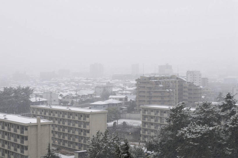 无人,家,横图,俯视,室外,白天,度假,美景,树林,雪,植物,雾,大雪,城市风光,城市,松树,日本,亚洲,朦胧,模糊,房屋,屋子,积雪,景观,雪景,冬季,冬天,公寓,娱乐,洋房,楼房,住宅,树,树木,绿色,自然,享受,休闲,景色,放松,寒冷,生长,成长,迷雾,坚定,东亚,本州,本州岛,日本国,近畿地方,近畿,兵库,兵库县,长寿,严寒,贞洁,大雾,彩图,高角度拍摄,房子,西宫市