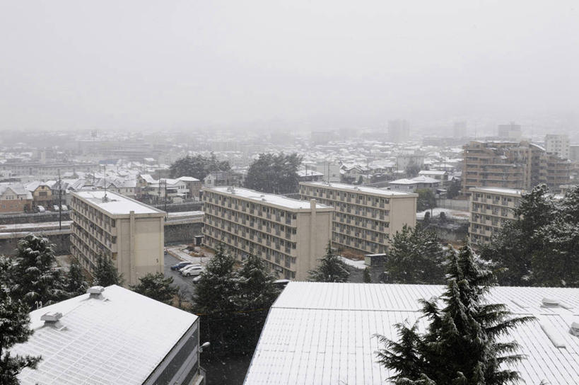 无人,家,横图,俯视,室外,白天,度假,美景,树林,雪,植物,雾,大雪,城市风光,城市,松树,日本,亚洲,朦胧,模糊,房屋,屋子,积雪,景观,雪景,冬季,冬天,公寓,娱乐,洋房,楼房,住宅,树,树木,绿色,自然,享受,休闲,景色,放松,寒冷,生长,成长,迷雾,坚定,东亚,本州,本州岛,日本国,近畿地方,近畿,兵库,兵库县,长寿,严寒,贞洁,大雾,彩图,高角度拍摄,房子,西宫市