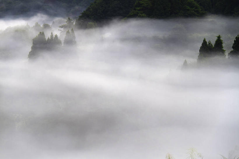 无人,横图,俯视,室外,白天,旅游,度假,日出,美景,树林,太阳,植物,雾,日本,亚洲,阴影,朦胧,模糊,光线,影子,景观,朝霞,晨曦,黎明,娱乐,树,树木,绿色,阳光,自然,享受,休闲,景色,放松,生长,成长,迷雾,自然风光,东亚,本州,本州岛,日本国,中部地方,新潟,新潟县,朝阳,大雾,彩图,高角度拍摄,卯时,破晓,日始,十日町市