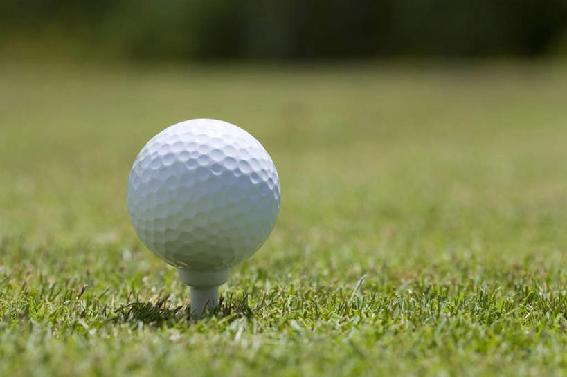 无人,横图,室外,特写,白天,正面,草地,草坪,树林,植物,静物,阴影,朦胧,模糊,光线,高尔夫,高尔夫球,影子,球,草,树,树木,一个,绿色,白色,阳光,自然,球体,球托,生长,单个,成长,高尔夫球杆,高尔夫运动,高尔夫球具,彩图