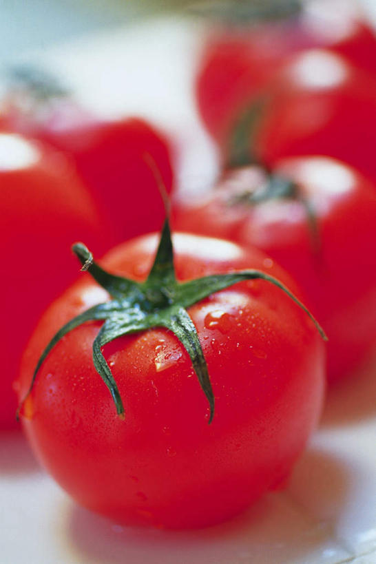 无人,竖图,俯视,室内,特写,白天,白色背景,蔬菜,西红柿,阴影,朦胧,模糊,新鲜,反射,影子,食品,食物,绿色,四个,摄影,有机食品,绿色食品,影棚,萼片,番茄,彩图,高角度拍摄,影棚拍摄,拍摄