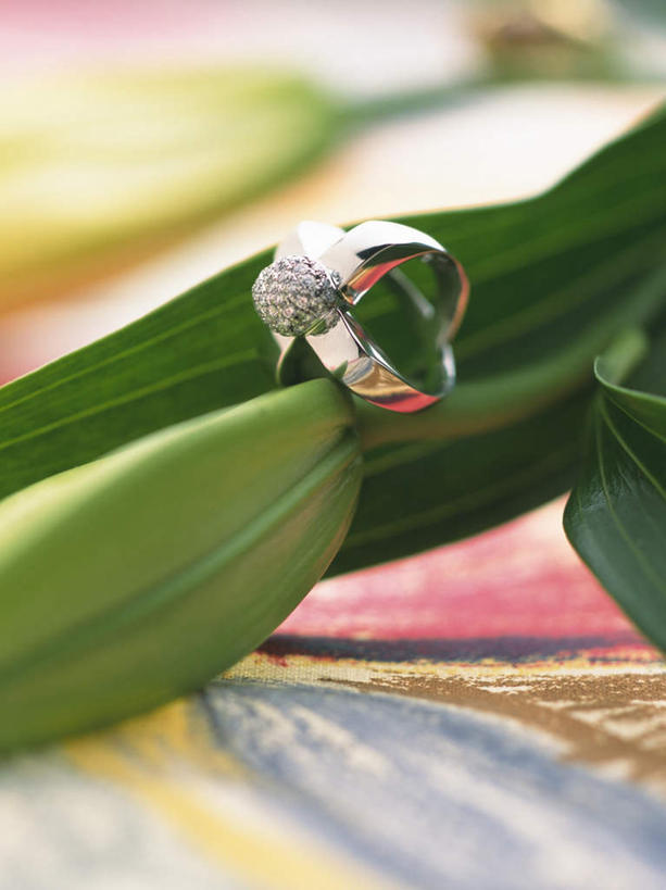 无人,竖图,室内,特写,白天,正面,爱情,叶子,珠宝,油画,朦胧,模糊,装饰,银色,绿叶,浪漫,钻石,装饰品,一个,戒指,饰品,首饰,嫩叶,恩爱,摄影,影棚,单个,华丽,修饰,信物,点缀,宝石,权利,衬托,美观,雅致,雅观,贵金属,叶,叶片,彩图,影棚拍摄,拍摄