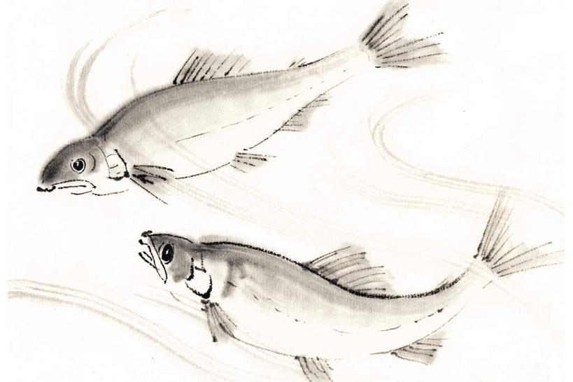 无人,横图,俯视,插画,室内,白天,白色背景,数码,科技,两条,阴影,网络,鱼,香鱼,高光,几何,计算机图形,合成,图画,注视,鱼类,海洋生物,画,观察,看,观看,电脑合成图,数码合成图,察看,关注,水生动物,水生物,漫画,海底动物,写实,具体,具象,瓜鱼,香油鱼,彩图,高角度拍摄,全身