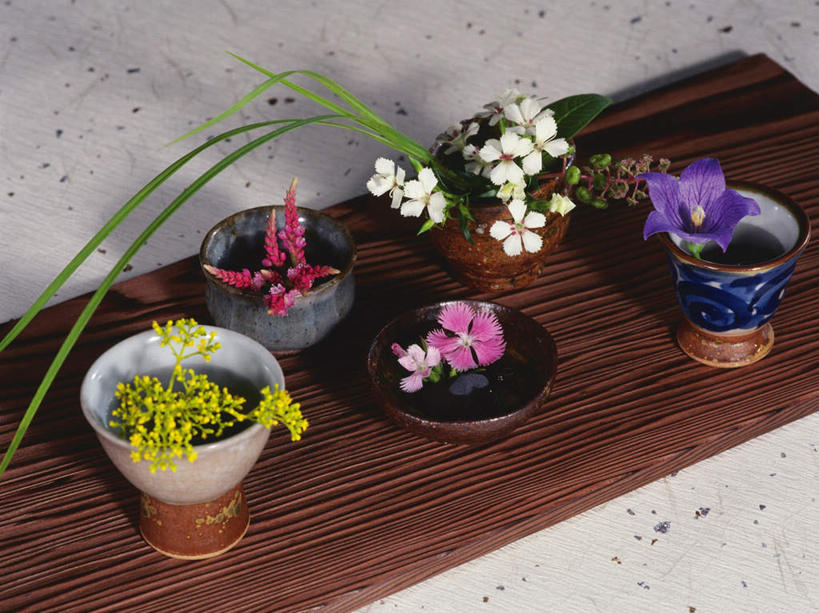 无人,横图,俯视,室内,白天,智慧,桌面,百合花,静物,阴影,艺术,盛开,光线,影子,花蕾,文化,花,花瓣,花朵,鲜花,黄色,紫色,白色,阳光,插花,花苞,花蕊,插花艺术,桔梗花,僧冠帽,创造,创作,想象,六角荷,强瞿,梗草,琴柱草,百合蒜,倒仙,番韭,山丹,彩图,高角度拍摄