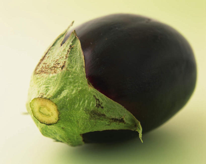 无人,横图,俯视,室内,特写,白天,白色背景,桌面,桌子,茄子,蔬菜,阴影,新鲜,反射,木制,影子,食品,食物,一个,绿色,紫色,木制品,摄影,有机食品,绿色食品,影棚,单个,萼片,落苏,酪酥,昆仑瓜,矮瓜,彩图,高角度拍摄,影棚拍摄,拍摄