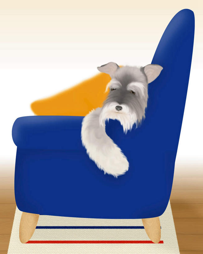 无人,竖图,插画,室内,白天,白色背景,正面,数码,科技,靠垫,沙发,宠物,狗,阴影,网络,靠枕,梗犬,雪纳瑞,高光,几何,计算机图形,合成,迷你雪纳瑞,图画,画,一只,蓝色,动物,垫子,枕头,可爱,电脑合成图,数码合成图,雪纳瑞犬,漫画,布艺沙发,忠诚,写实,具体,具象,雪纳瑞狗,犬,半身,彩图