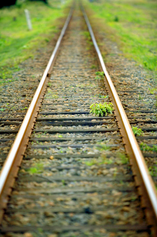 无人,竖图,俯视,室外,白天,草地,草坪,礁石,石头,植物,路,铁路,许多,阴影,朦胧,模糊,光线,石子,影子,轨道,交通,铁轨,草,绿色,阳光,运输,铁道,石块,彩图,高角度拍摄