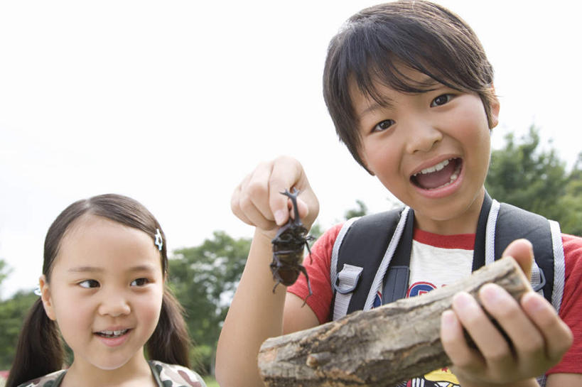 东方人,儿童,两个人,伙伴,朋友,站,举,笑,微笑,露齿笑,横图,室外,白天,正面,旅游,度假,友谊,纯洁,植物,亚洲,握,服装,朦胧,模糊,昆虫,独角仙,拿,拎,拿着,注视,休闲装,黄种人,娱乐,树,树木,小孩,衣服,绿色,自然,动物,观察,看,托,站着,张嘴,享受,休闲,休闲服,放松,可爱,童年,童趣,握着,服饰,生长,成长,观看,察看,关注,张大嘴巴,益虫,童真,烂漫,无邪,双叉犀金龟,天真,友情,男孩,男人,男性,女孩,女人,女性,亚洲人,张开嘴,举起,举手,举着,向上举,向上伸,向上托,站立,半身,彩图,男生,女生,拎着