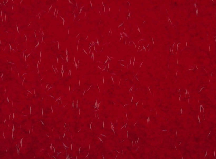 无人,横图,俯视,室内,特写,白天,兴奋,热情,静物,褶皱,纹路,纹理,纸,纸张,开放,文化,红色,健康,温暖,奔放,活力,积极,激情,朝气,暖色,吉祥,生命,饱满,和纸,日本纸,革命,热烈,赤色,充实,斗志,喜气,主动,彩图,高角度拍摄,欢乐