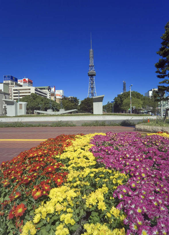 无人,公园,高楼大厦,竖图,室外,白天,正面,度假,办公楼,花海,花圃,美景,植物,城市风光,标志建筑,城市,大厦,地标,建筑,摩天大楼,写字楼,叶子,爱知县,名古屋,日本,亚洲,许多,盛开,花坛,景观,绿叶,花蕾,娱乐,建设,花,花瓣,花朵,花卉,鲜花,黄色,红色,绿色,紫色,自然,楼宇,花丛,花田,花苞,花蕊,享受,休闲,嫩叶,商务楼,景色,放松,生长,成长,东亚,本州,无线电通信塔,通信塔,本州岛,日本国,中部地方,爱知,县厅,久屋大通公园,名古屋市,叶,叶片,彩图,大楼,高层建筑,高楼,摩天楼