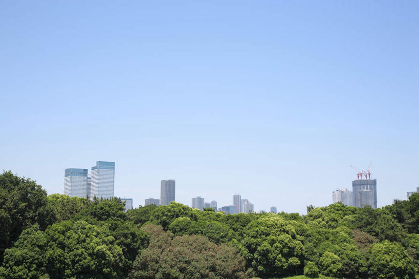 无人,高楼大厦,横图,室外,白天,仰视,度假,美景,树林,植物,城市风光,城市,大厦,建筑,摩天大楼,东京,日本,亚洲,景观,建筑群,娱乐,建设,树,树木,蓝色,绿色,蓝天,天空,自然,天,享受,休闲,景色,放松,生长,晴朗,成长,东亚,本州,万里无云,关东地方,本州岛,日本国,东京都,晴空,晴空万里,彩图,低角度拍摄,大楼,高层建筑,高楼,摩天楼