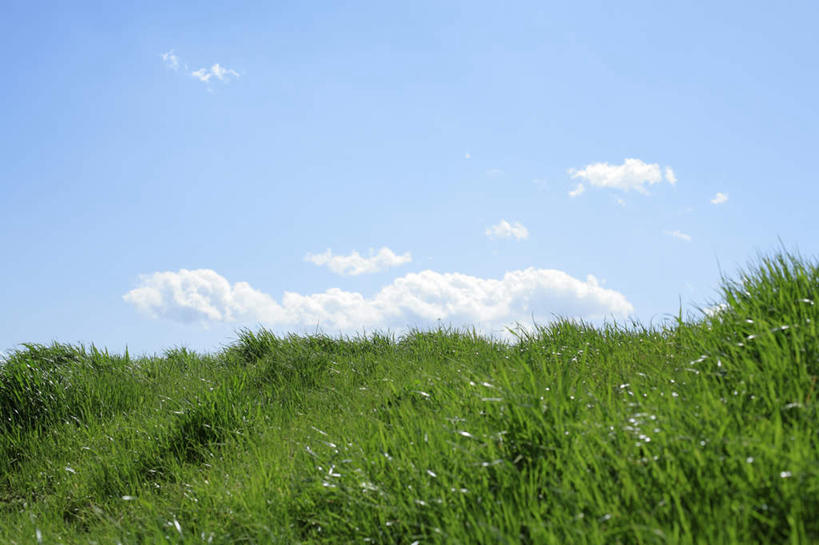无人,横图,室外,白天,仰视,旅游,度假,草地,草坪,美景,森林,树林,植物,东京,日本,亚洲,阴影,光线,影子,景观,云,云朵,云彩,娱乐,草,树,树木,蓝色,绿色,白云,蓝天,天空,阳光,自然,天,享受,休闲,景色,放松,生长,晴朗,成长,自然风光,东亚,本州,关东地方,本州岛,日本国,东京都,晴空,彩图,低角度拍摄