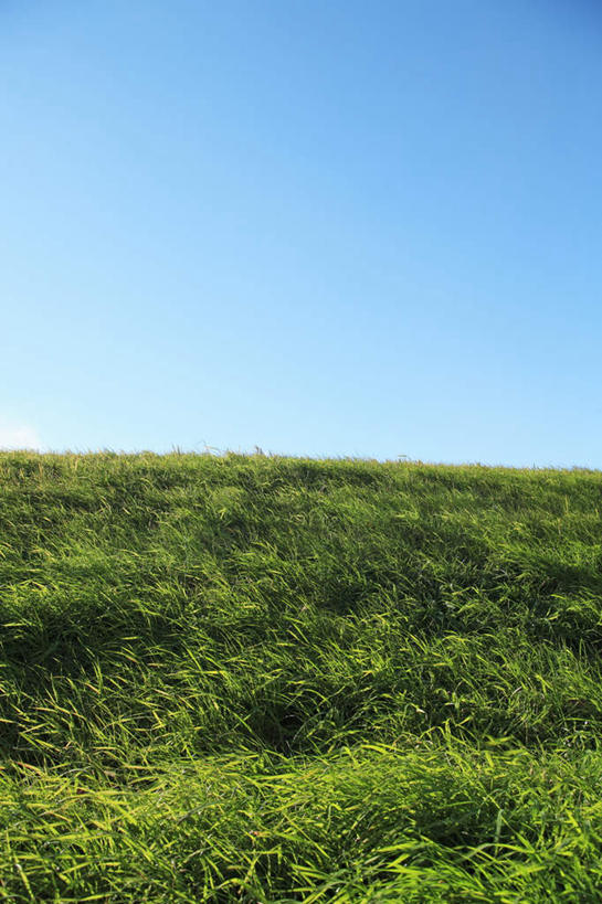 无人,农田,竖图,室外,白天,正面,旅游,度假,庄稼,农作物,草地,草坪,美景,植物,阴影,光线,影子,地平线,景观,辽阔,地面,娱乐,草,蓝色,绿色,蓝天,天空,阳光,自然,天,享受,休闲,广阔,景色,放松,晴朗,一望无际,自然风光,延伸,万里无云,天地相交,无边无际,一马平川,晴空,晴空万里,彩图,耕地,庄稼田