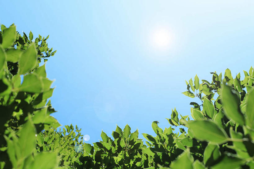 无人,横图,室外,白天,仰视,旅游,度假,美景,太阳,叶子,许多,阴影,光线,影子,景观,绿叶,娱乐,蓝色,蓝天,天空,阳光,自然,天,享受,休闲,嫩叶,景色,放松,晴朗,自然风光,万里无云,叶,叶片,晴空,晴空万里,彩图,低角度拍摄