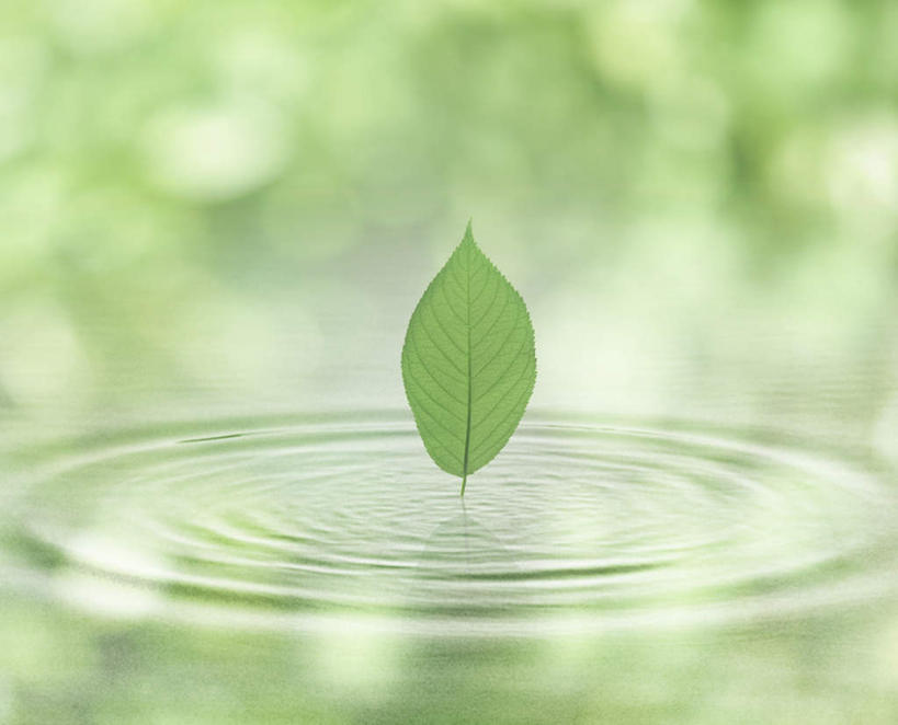 无人,横图,室内,白天,正面,数码,科技,水,叶子,一片,阴影,波纹,朦胧,模糊,网络,液体,水滴,绿叶,涟漪,高光,几何,计算机图形,合成,水纹,波浪,嫩叶,波光粼粼,电脑合成图,数码合成图,水晕,写实,具体,具象,叶,叶片,彩图