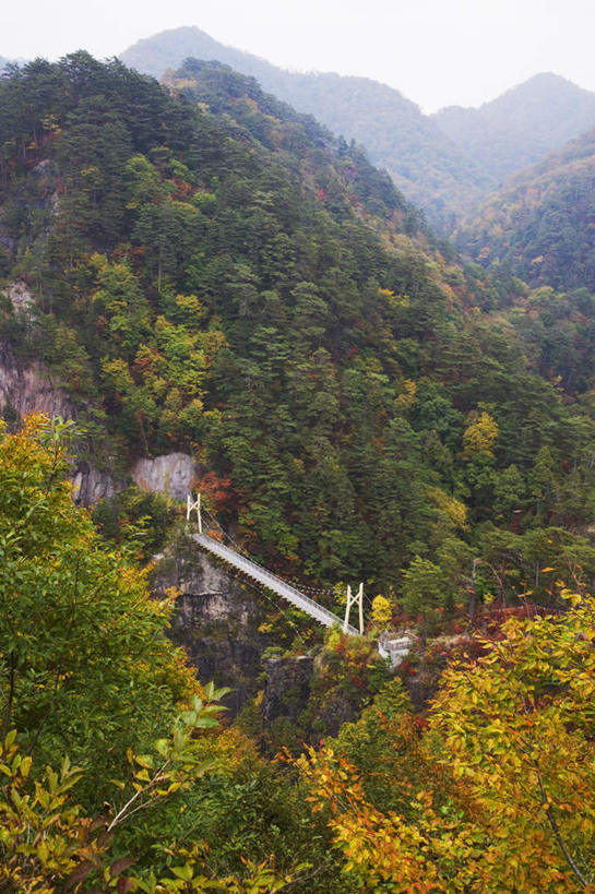 无人,竖图,俯视,航拍,室外,白天,旅游,度假,美景,森林,山,山脉,树林,植物,日本,亚洲,朦胧,模糊,木板,景观,山峰,桥,木桥,山峦,娱乐,栈桥,树,树木,蓝色,绿色,蓝天,天空,自然,群山,天,享受,休闲,景色,放松,一架,生长,晴朗,成长,人行桥,木板桥,鸟瞰,自然风光,东亚,本州,万里无云,关东地方,本州岛,日本国,栃木,栃木县,日光市,晴空,晴空万里,彩图,高角度拍摄