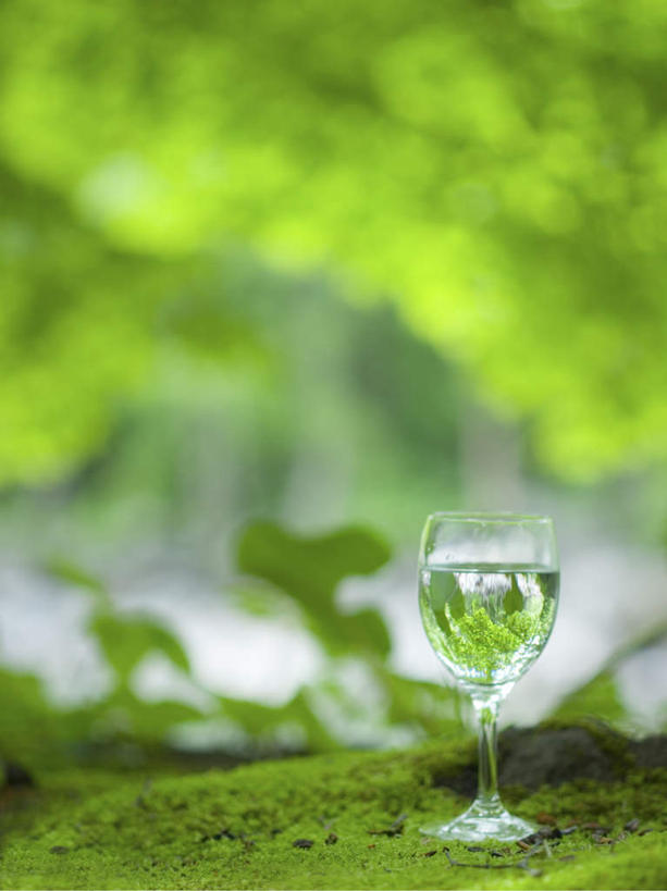 无人,竖图,室外,特写,白天,正面,旅游,度假,草地,草坪,礁石,石头,美景,水,植物,杯子,阴影,朦胧,模糊,反射,高脚杯,石子,液体,影子,景观,水滴,苔藓,红酒杯,娱乐,玻璃制品,草,绿色,自然,酒杯,享受,休闲,景色,放松,自然风光,玻璃杯,礁,石块,岩石,彩图