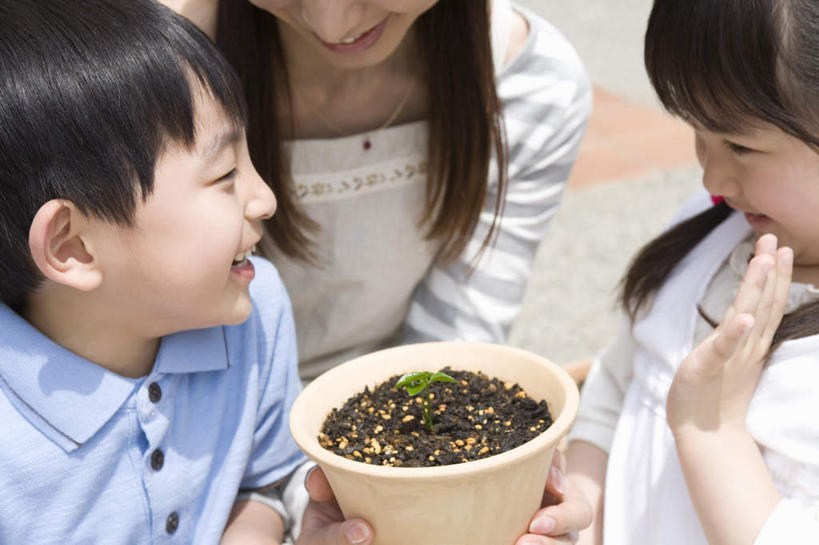 东方人,儿童,三个人,家庭,母亲,女儿,儿子,站,举,捧,笑,说,微笑,露齿笑,横图,俯视,室内,白天,讨论,纯洁,植物,亚洲,服装,朦胧,模糊,盆栽,盆景,休闲装,黄种人,相视,小孩,衣服,绿色,自然,托,站着,休闲,温暖,温馨,母女,母子,一家人,面对面,休闲服,可爱,母爱,童年,童趣,服饰,生长,成长,对视,和睦,相对,童真,烂漫,无邪,相看,交流,天真,男孩,男人,男性,年轻女性,女孩,女人,女性,亚洲人,孩子,年轻人,端,端着,沟通,讲话,交谈,举起,举手,举着,捧着,商讨,手捧,说话,谈话,向上举,向上伸,向上托,站立,半身,彩图,高角度拍摄,融洽,男生,女生