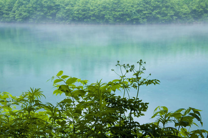 无人,横图,俯视,室外,白天,旅游,度假,湖,湖泊,美景,森林,树林,水,植物,长野县,日本,亚洲,朦胧,模糊,湖面,景观,水流,水面,娱乐,树,树木,绿色,自然,湖水,享受,休闲,景色,放松,生长,成长,自然风光,东亚,本州,本州岛,日本国,中部地方,长野,彩图,高角度拍摄