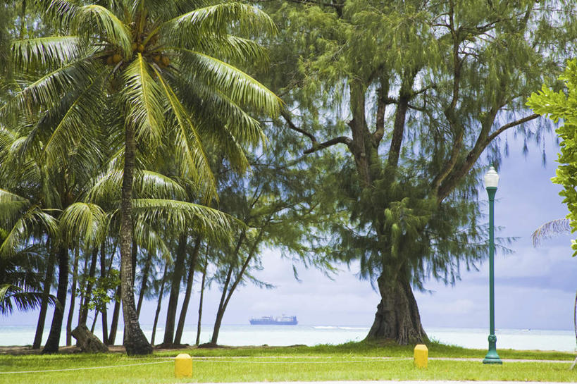 无人,横图,室外,白天,正面,旅游,度假,草地,草坪,海浪,海洋,美景,植物,路灯,轮船,船,棕榈树,叶子,照明,阴影,光线,影子,景观,浪花,灯光,绿叶,娱乐,灯,草,树,树木,绿色,阳光,自然,海水,交通工具,享受,休闲,嫩叶,景色,放松,生长,成长,照亮,太平洋,照明设备,自然风光,载具,海景,棕榈叶,北马里亚那群岛,北马里亚纳,北马里亚纳群岛,北马里亚纳群岛自由联邦,塞班岛,西太平洋,叶,叶片,大海,风浪,海,海水的波动,近岸浪,涌浪,彩图