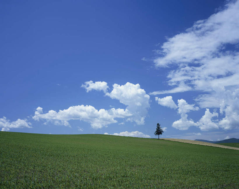 无人,横图,室外,特写,白天,正面,旅游,度假,草地,草坪,美景,山,山脉,植物,北海道,日本,亚洲,朦胧,模糊,地平线,景观,山峰,云,云朵,辽阔,地面,山峦,云彩,娱乐,草,树,树木,蓝色,绿色,白云,蓝天,天空,自然,群山,天,享受,休闲,广阔,景色,放松,生长,晴朗,成长,一望无际,自然风光,延伸,东亚,日本国,天地相交,北海道地方,北海道岛,美瑛町,美瑛,无边无际,一马平川,晴空,彩图