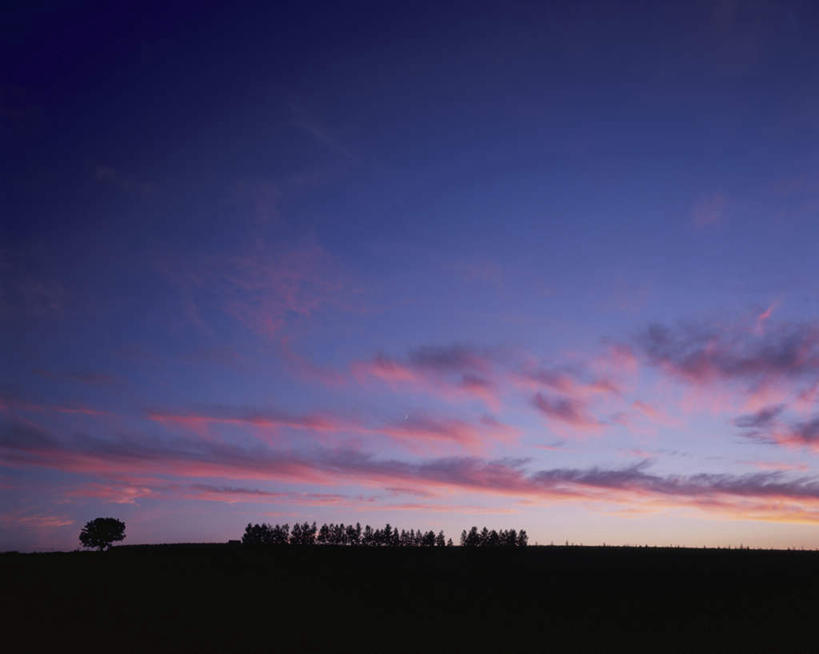 无人,横图,室外,白天,仰视,旅游,度假,草地,草坪,美景,日落,植物,北海道,日本,亚洲,阴影,朦胧,模糊,光线,影子,地平线,景观,晚霞,霞光,落日,辽阔,地面,背光,娱乐,草,树,树木,绿色,阳光,自然,黄昏,享受,休闲,广阔,景色,彩霞,放松,生长,成长,一望无际,自然风光,延伸,逆光,东亚,日本国,天地相交,北海道地方,北海道岛,美瑛町,美瑛,无边无际,一马平川,夕照,夕阳,彩图,低角度拍摄,斜阳