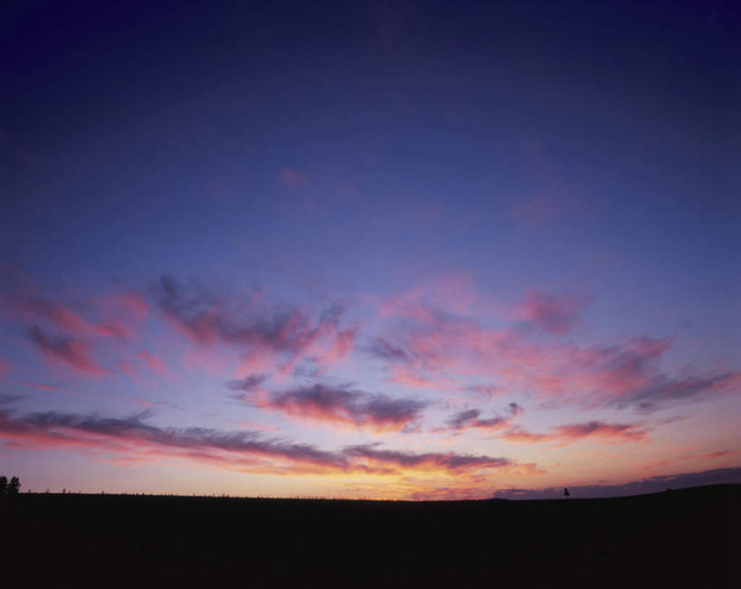 无人,横图,室外,白天,仰视,旅游,度假,美景,日落,北海道,日本,亚洲,朦胧,模糊,地平线,景观,晚霞,霞光,落日,辽阔,地面,背光,娱乐,天空,自然,黄昏,天,享受,休闲,景色,彩霞,放松,一望无际,自然风光,延伸,逆光,东亚,日本国,天地相交,北海道地方,北海道岛,美瑛町,美瑛,夕照,夕阳,彩图,低角度拍摄,斜阳