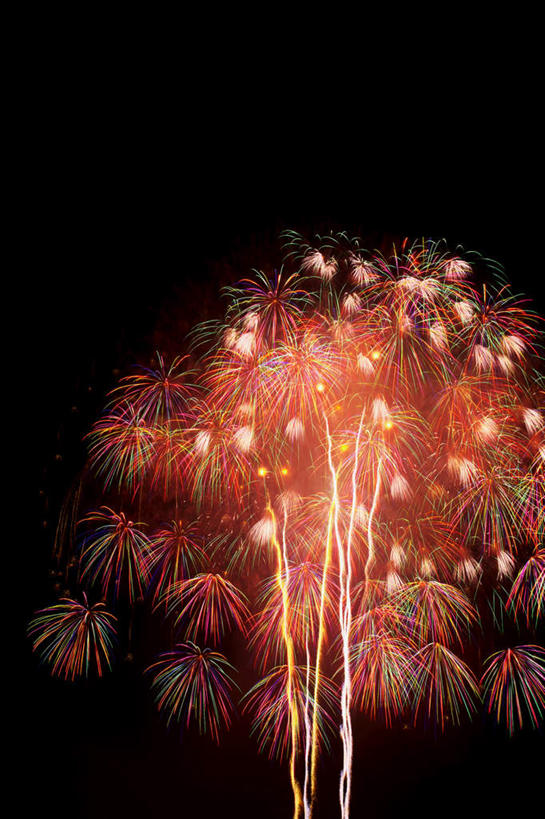 无人,竖图,室外,特写,夜晚,仰视,旅游,度假,烟火,朦胧,模糊,庆祝,美丽,娱乐,黑色,天空,焰火,天,享受,休闲,闪耀,放松,庆贺,闪烁,祝贺,礼花,花炮,礼花炮,绚烂,闪动,闪灼,烟花,彩图,低角度拍摄