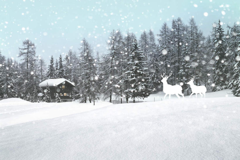 无人,家,木屋,横图,室内,白天,正面,数码,科技,树林,雪,植物,大雪,哺乳动物,鹿,野生动物,一幢,阴影,朦胧,模糊,网络,积雪,雪景,冬季,冬天,高光,几何,计算机图形,合成,住宅,树,树木,蓝色,绿色,蓝天,天空,自然,动物,天,两只,寒冷,可爱,活泼,生长,晴朗,成长,电脑合成图,数码合成图,万里无云,写实,具体,具象,角鹿,严寒,晴空,晴空万里,驯鹿,彩图,茅舍,茅屋,棚屋,小木屋,小屋