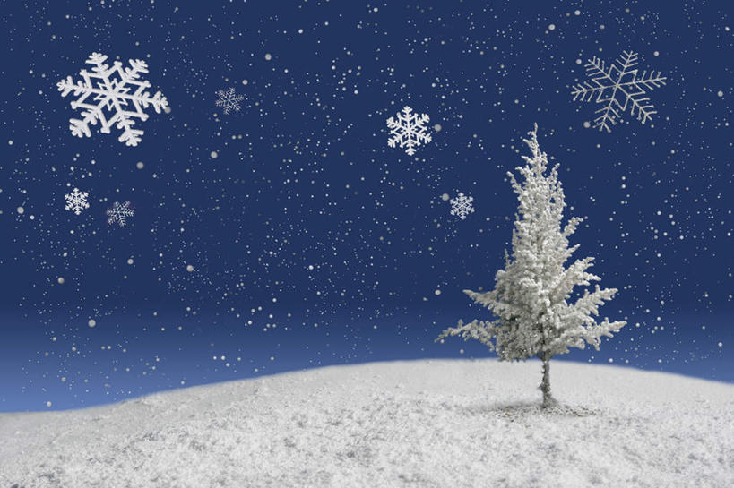 无人,横图,室外,夜晚,正面,数码,科技,星空,雪,植物,大雪,夜景,一棵,阴影,网络,积雪,雪景,冬季,冬天,高光,几何,计算机图形,合成,树,树木,蓝色,绿色,蓝天,天空,自然,天,寒冷,生长,晴朗,成长,电脑合成图,数码合成图,万里无云,写实,具体,具象,严寒,晴空,晴空万里,星夜,夜空,彩图