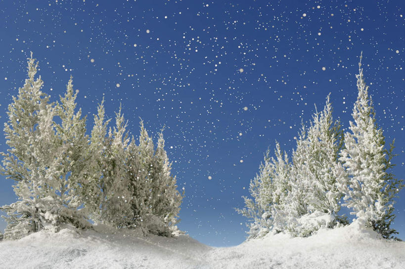 无人,横图,室外,夜晚,正面,数码,科技,森林,树林,星空,植物,夜景,一排,阴影,朦胧,模糊,整齐,网络,冬季,高光,几何,计算机图形,合成,树,树木,排列,蓝色,绿色,蓝天,天空,自然,天,寒冷,生长,晴朗,成长,电脑合成图,数码合成图,队列,万里无云,写实,具体,具象,严寒,晴空,晴空万里,星夜,夜空,彩图