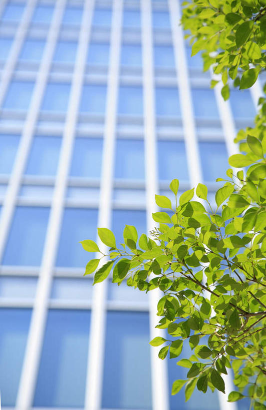 无人,高楼大厦,竖图,室外,白天,仰视,度假,美景,植物,城市风光,城市,大厦,建筑,摩天大楼,叶子,阴影,朦胧,模糊,光线,影子,景观,绿叶,娱乐,建设,树,树木,绿色,阳光,自然,享受,休闲,嫩叶,景色,放松,生长,成长,叶,叶片,彩图,低角度拍摄,大楼,高层建筑,高楼,摩天楼